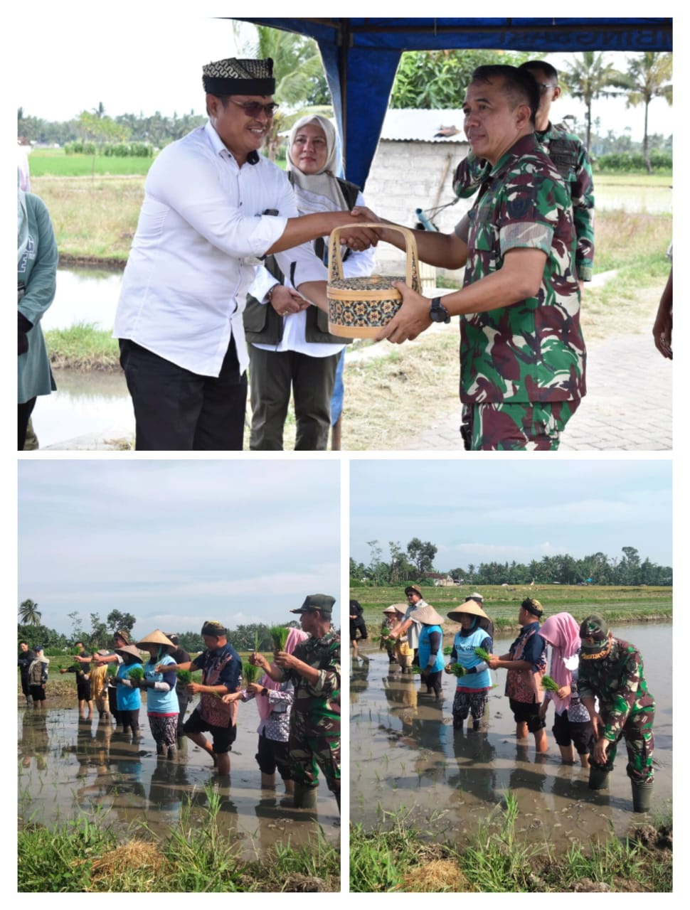 Kunjungan Kerja Kementerian Pertanian di Dusun Karangrejo, Desa Kabat, Banyuwangi