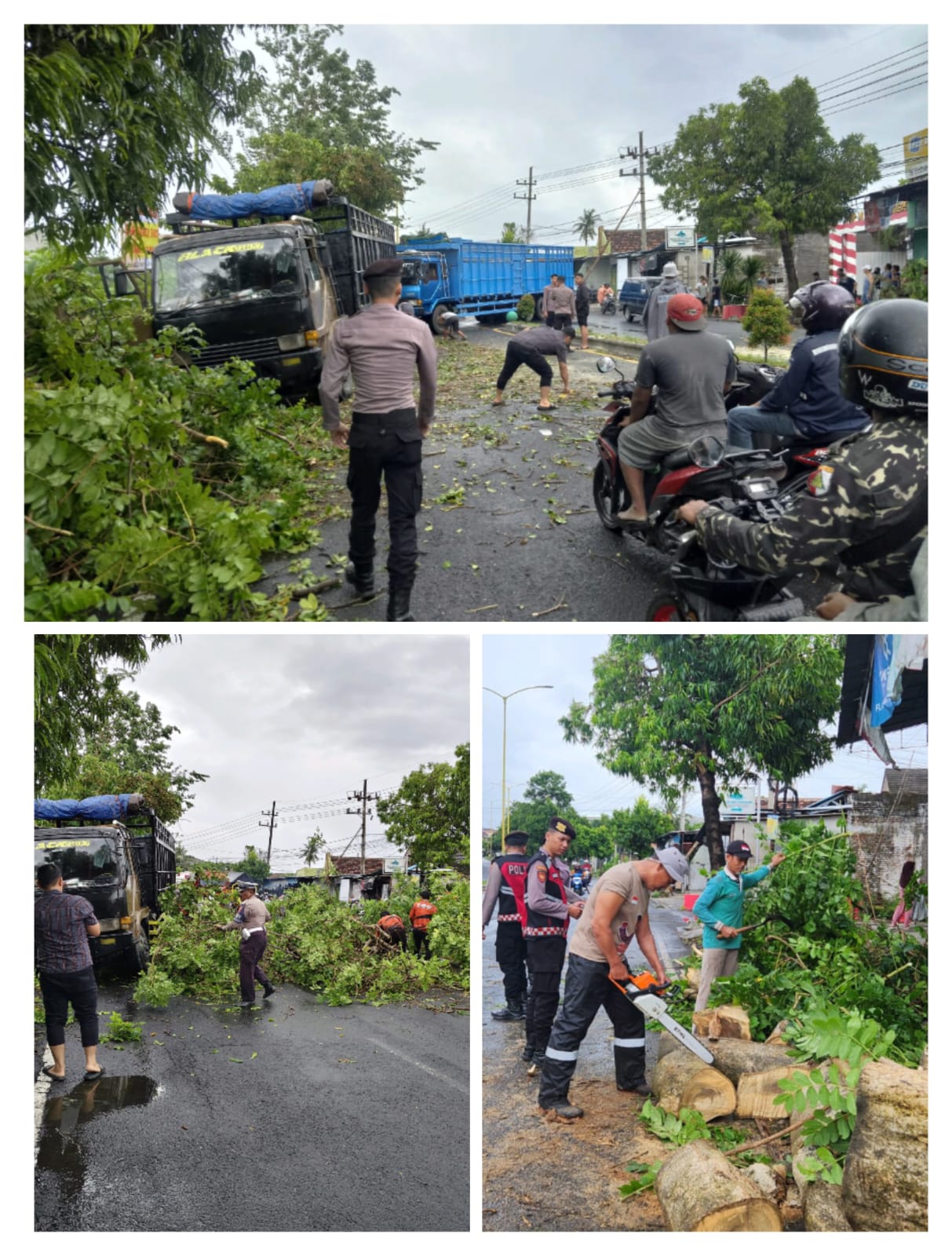 Polresta Banyuwangi Gerak Cepat bersama Instansi Terkait Evakuasi Pohon Tumbang Akibat Bencana Angin