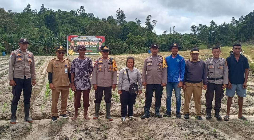 *Kapolsek Meliau Tinjau Perkembangan Program Ketahanan Pangan di Kecamatan Meliau*