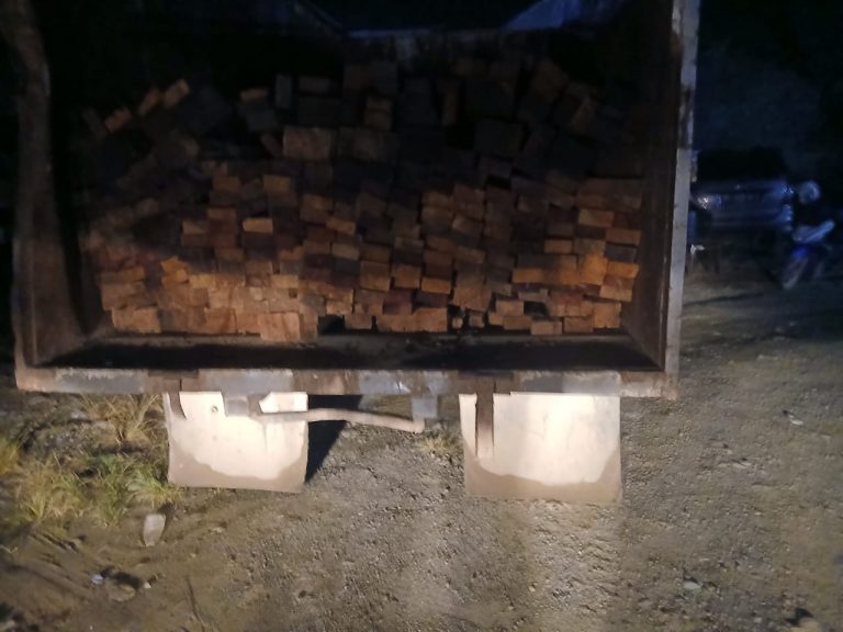Wartawan Hentikan Truk Kayu Ilegal di Halteng, di Mana Aparat?”