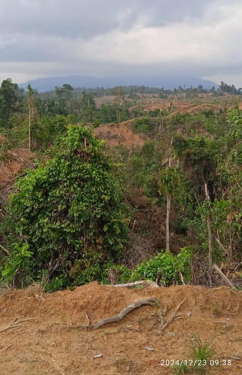 PT SNI Membeli Lahan Atas Nama Masyarakat Bukan Menyerobot Lahan Koperasi KSO Sinar Maju