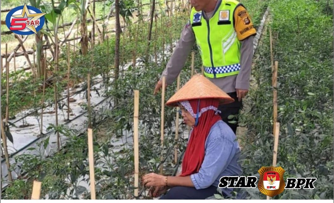 Bhabinkamtibmas Polsek Sinar peninjauan polres Oku Sambangi Ketahanan Pangan Milik Warga Binaan