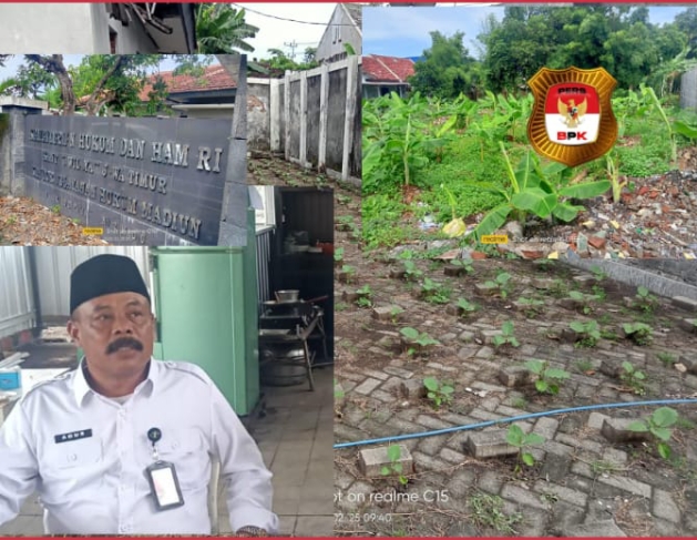 Dukung Program Ketahanan Pangan Nasional, Bapas kelas II Madiun Menanam Sayuran Terong dan Lombok.