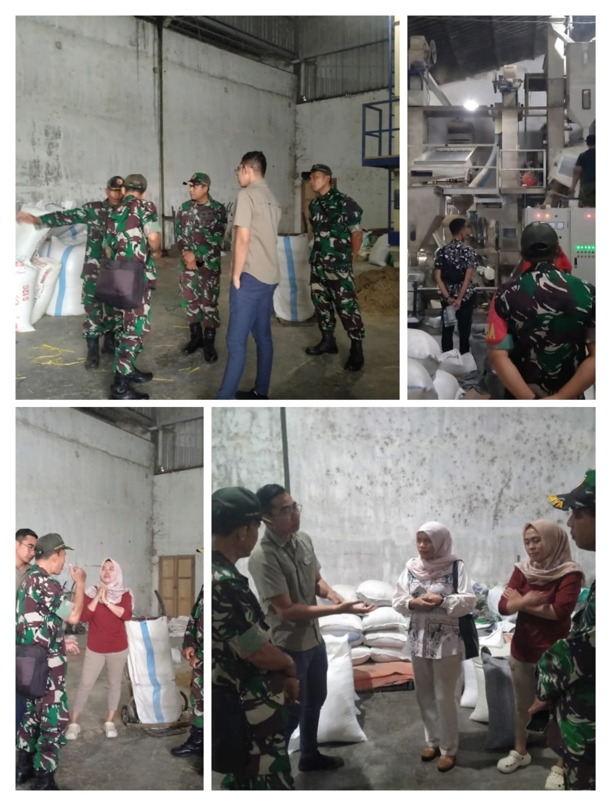Dukung Hanpangan, Kodim 0825/Banyuwangi Bersama Bulog Monitoring Proses Pengeringan Dan Penggilingan Gabah Menjadi Beras