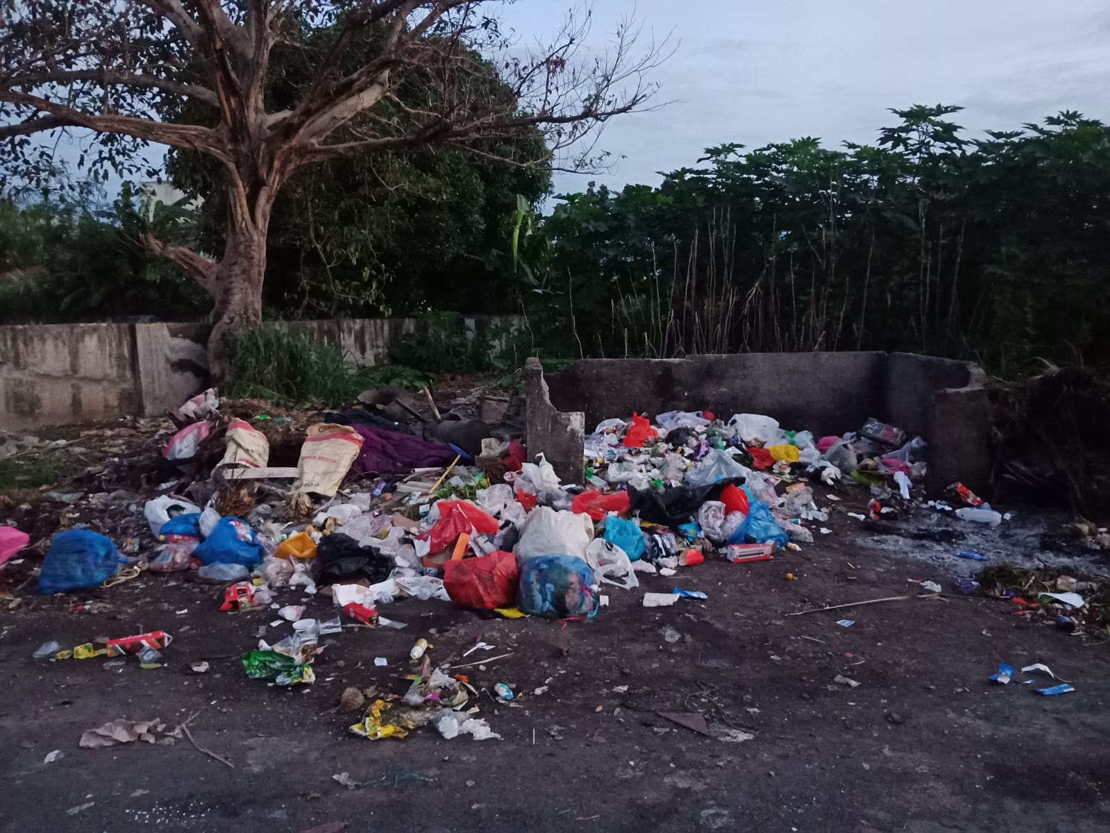 Tumpukan Sampah Cemari Sekitar Stadion Dua Saudara, Warga Minta Tindakan Cepat