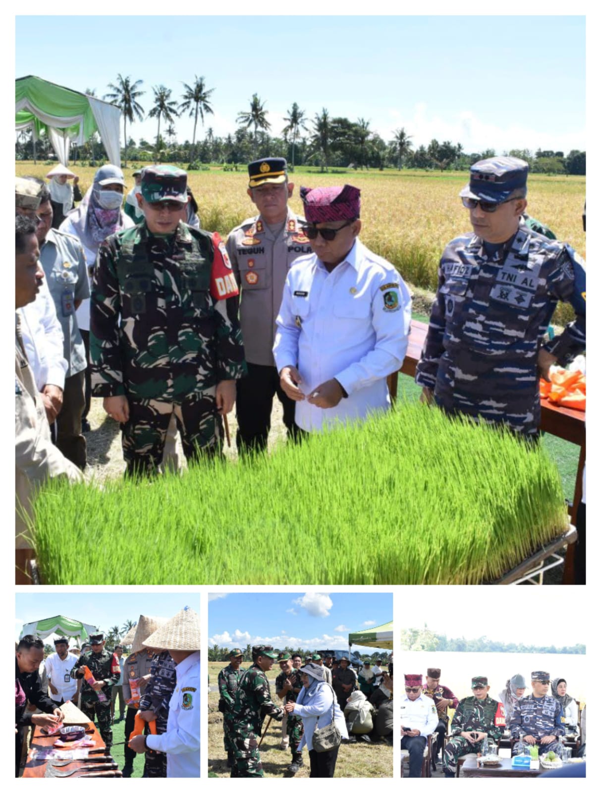 Dandim 0825 Banyuwangi Ikuti Vicon Panen Raya 14 Provinsi Bersama Presiden Prabowo Subianto
