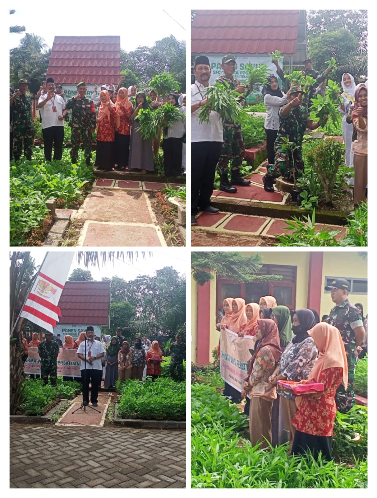 Danramil 0825/09 Tegaldlimo, Hadir di Acara Panen Raya School Food Care SMA Negeri 1 Tegaldlimo, Sinergi Sekolah, TNI, dan Masyarakat Wujudkan Ketahanan Pangan Lokal