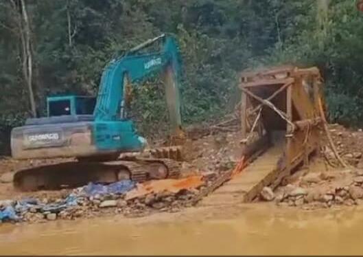 Peti Manjamur Dijambi Dampak Dan Bahaya Bagi Longkungan.