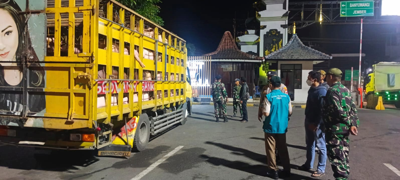 TNI, Polri, dan Karantina Banyuwangi Gagalkan Pengiriman 66 Ekor Babi Tanpa Dokumen dari Bali