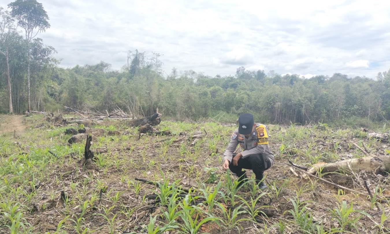 Polsek Beduai Laksanakan Pengecekan Progres Penanaman Ulang Jagung Dukung Program Ketahanan Pangan Polri