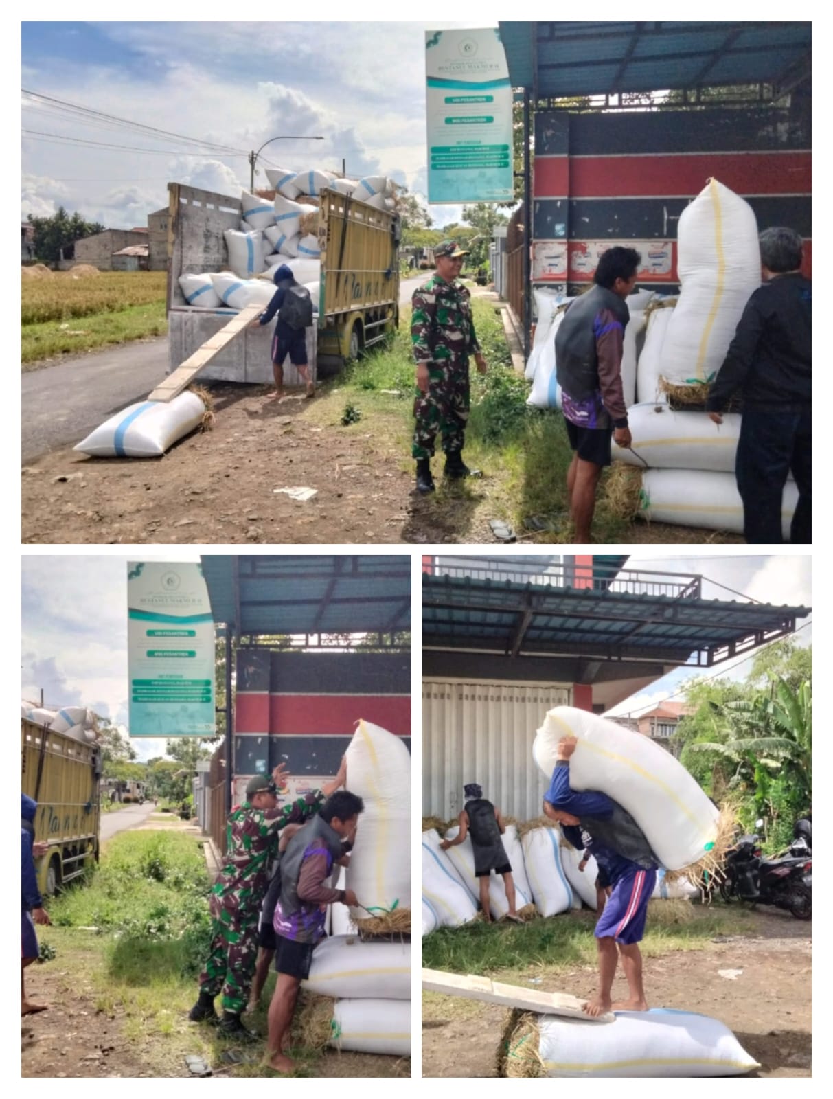Babinsa Koramil 0825/04 Genteng Kawal Penyerapan Gabah Petani