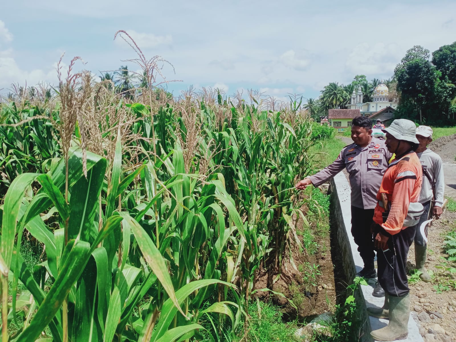 Bhabinkamtibmas Polresta Banyuwangi Aktif Urai Hambatan dalam Program Ketahanan Pangan*