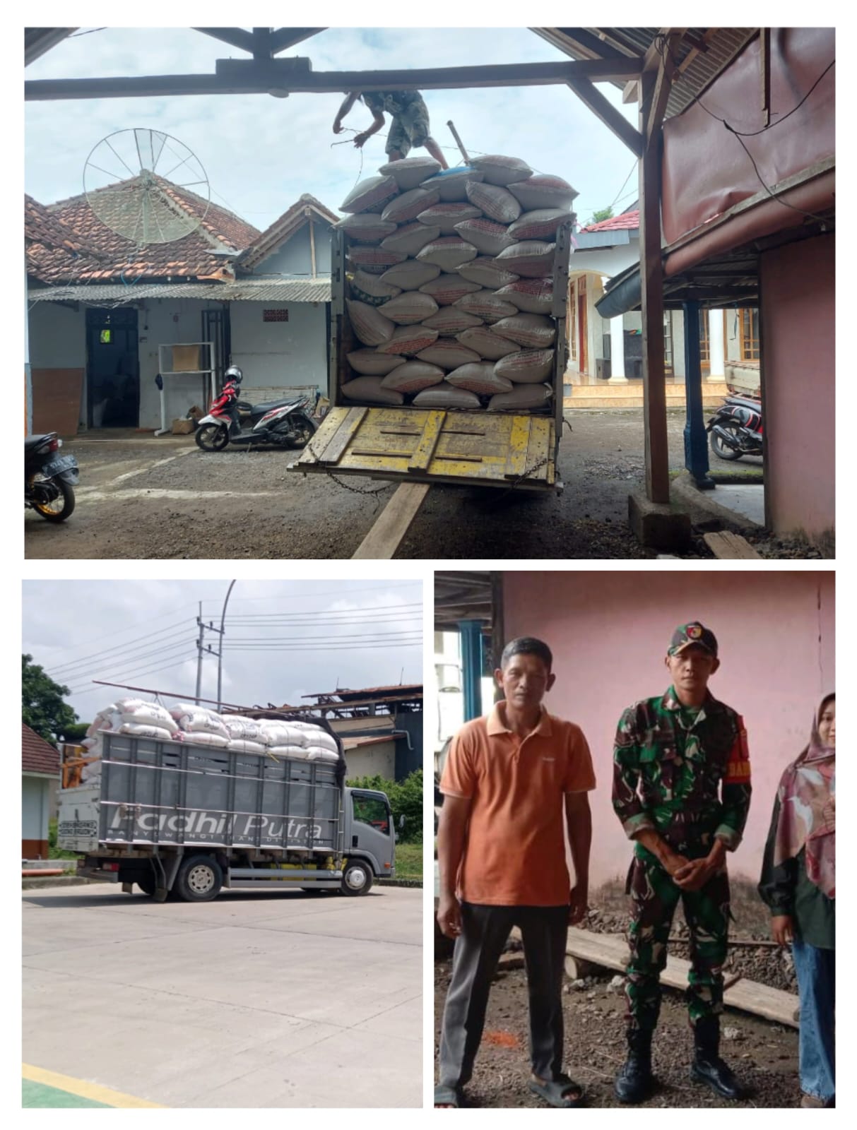 Babinsa Koramil 0825-09 Tegaldlimo, Pendampingan Petani Serap Gabah Ke Bulog Banyuwangi, Wujud Sinergi Tingkatkan Kesejahteraan Petani
