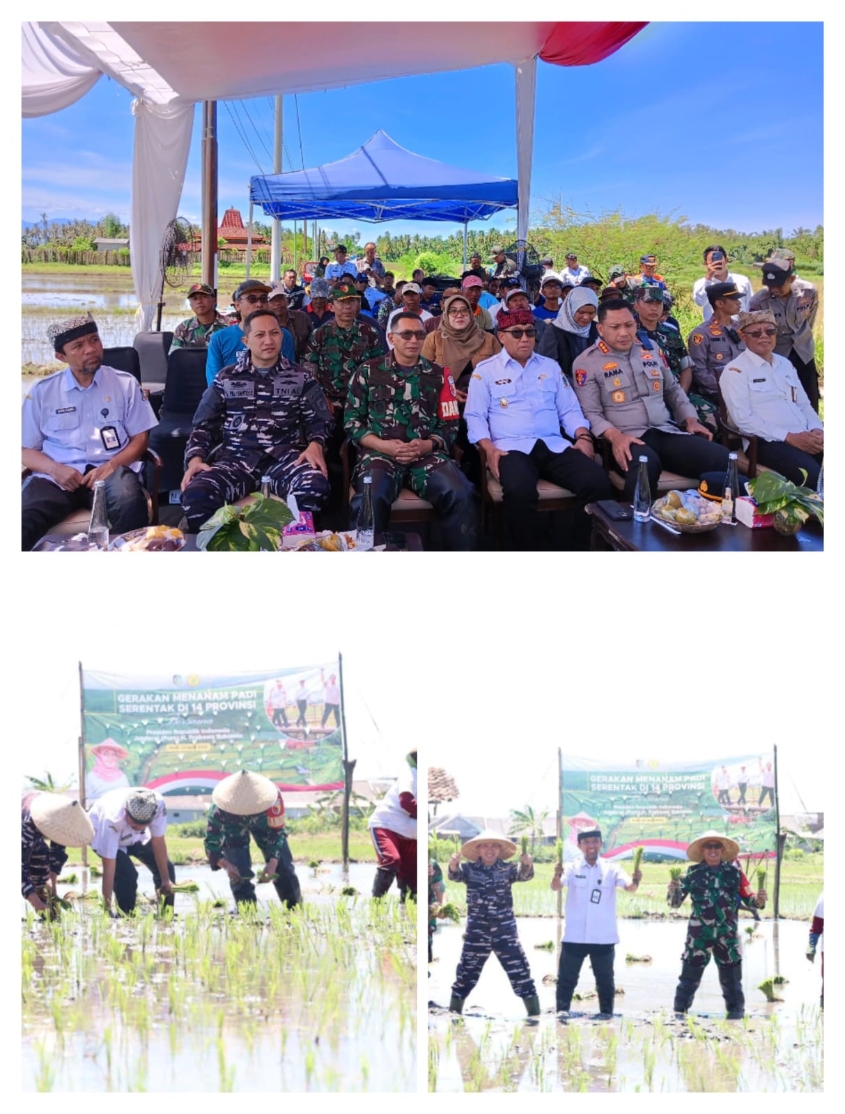 Dandim 0825/Banyuwangi dan Forkopimda Ikuti Vicon Bersama Presiden RI dalam Rangka Gerakan Menanam Padi Serentak di 14 Provinsi