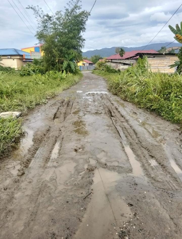 Cafe Milik Tongsan dan Ronal Jadi Penyebab Jalan Warga Rusak