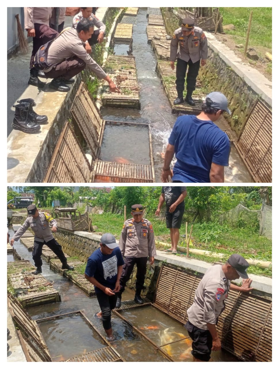 Dukung Program Ketahanan Pangan, Polresta Banyuwangi Pendampingan Budidaya Keramba Ikan