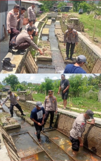 Dukung Program Ketahanan Pangan, Polresta Banyuwangi Pendampingan Budidaya Keramba Ikan*