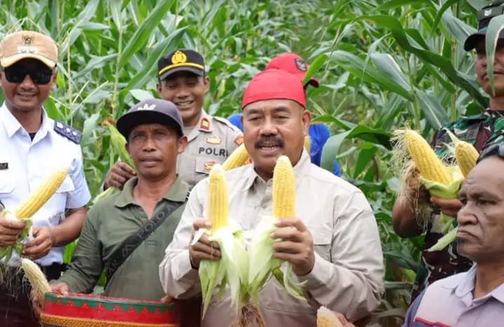Panen Raya di Maluhu, Bupati Edi Damansyah Dorong Petani Kukar Terapkan Pola Tanam Cepat