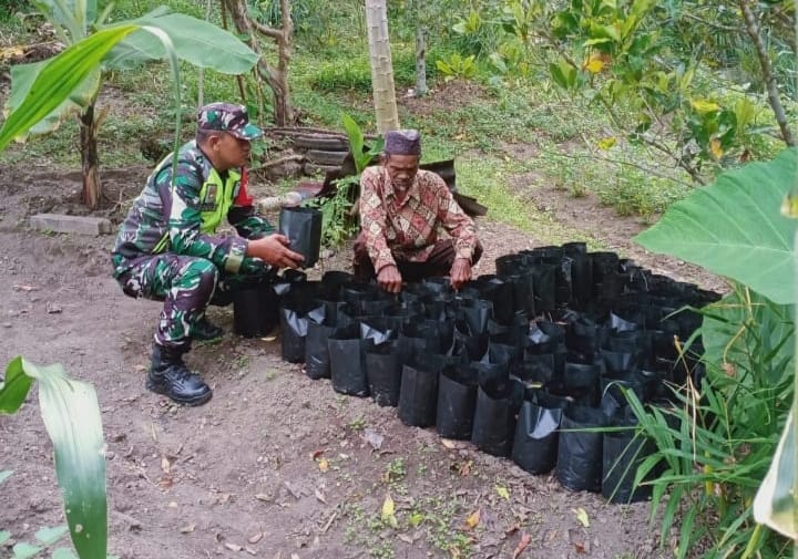 Babinsa Koramil 02/Sukakarya Dukung Ketahanan Pangan Lewat Pendampingan Penanaman Sayuran