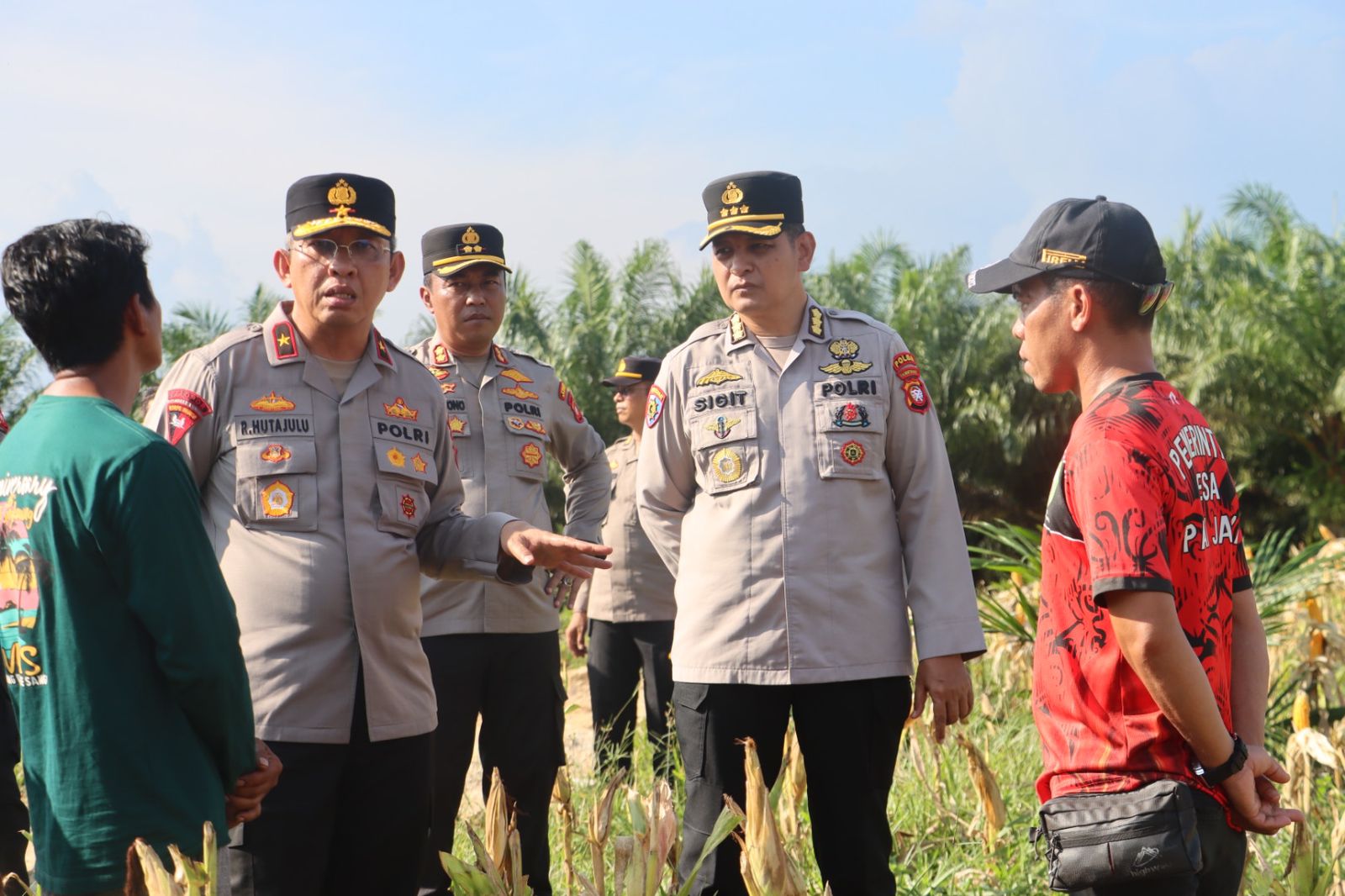 Wakapolda Kalbar Tinjau Lahan Jagung Siap Panen di Parindu, Dukung Ketahanan Pangan Nasional