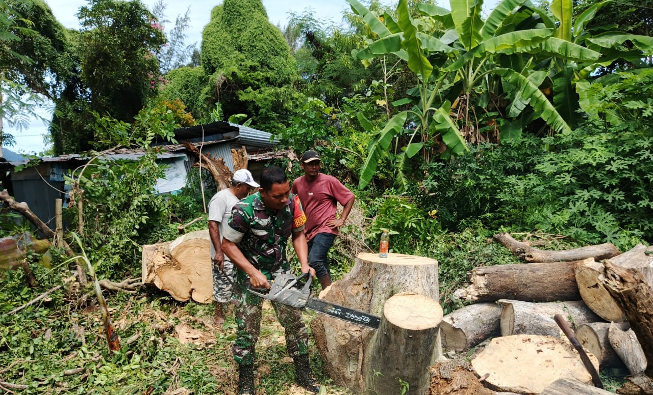 Babinsa Gampong Kuta Barat Bantu Warga Bersihkan Pohon Tumbang di Lingkungan Pemukiman Warga