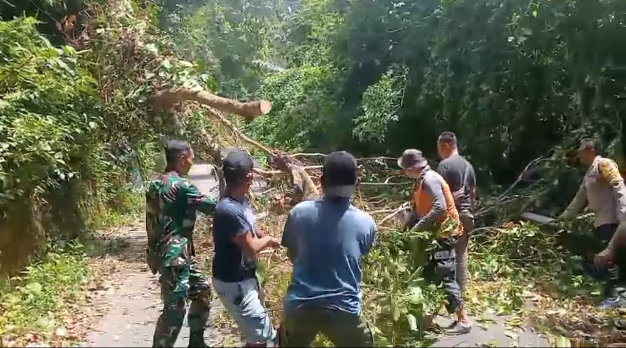 Pohon Tumbang Tutupi Jalan di Gampong Aneuk Laot, Babinsa Koramil 02/Sukakarya Bantu Proses Evakuasi