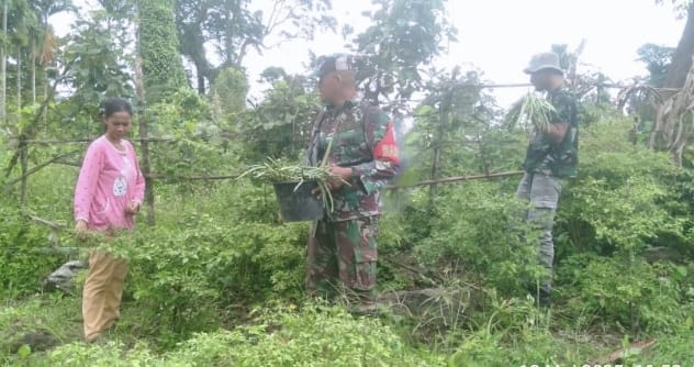 Babinsa Koramil 02/Sukakarya Dampingi Petani Panen Kacang Panjang dan Cabai di Gampong Krueng Raya