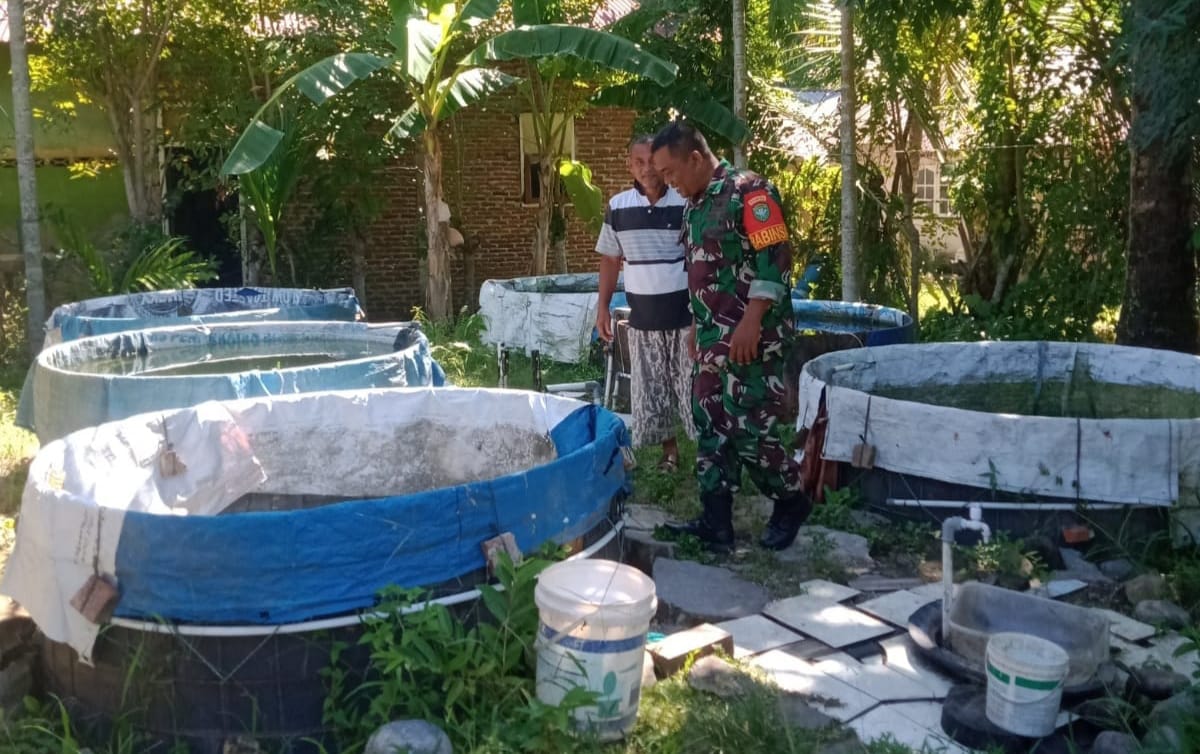 Babinsa Koramil 02/Sukakarya Tinjau Budidaya Ikan Air Tawar Bersama Warga Dukung Ketahanan Pangan Melalui Pemanfaatan Lahan Sempit