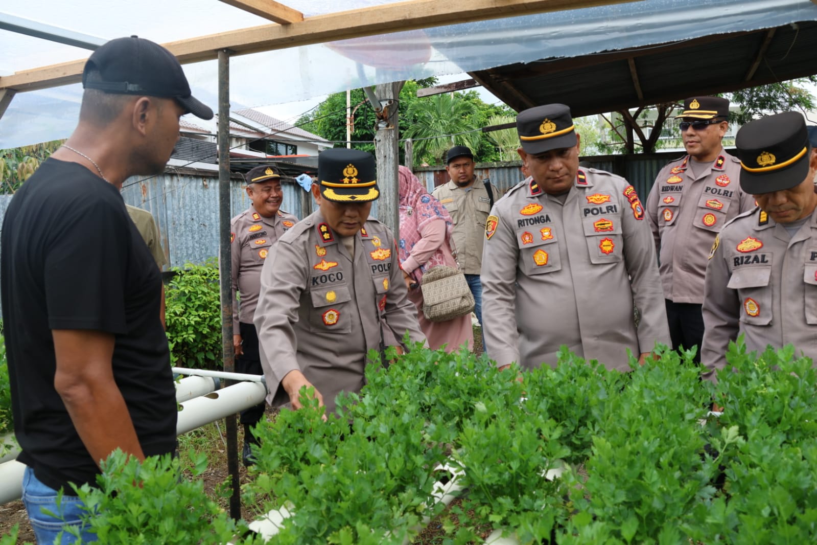 Kapolres Sabang AKBP Sukoco,Tinjau Pekarangan Pangan Bergizi di Gampong Kuta Barat