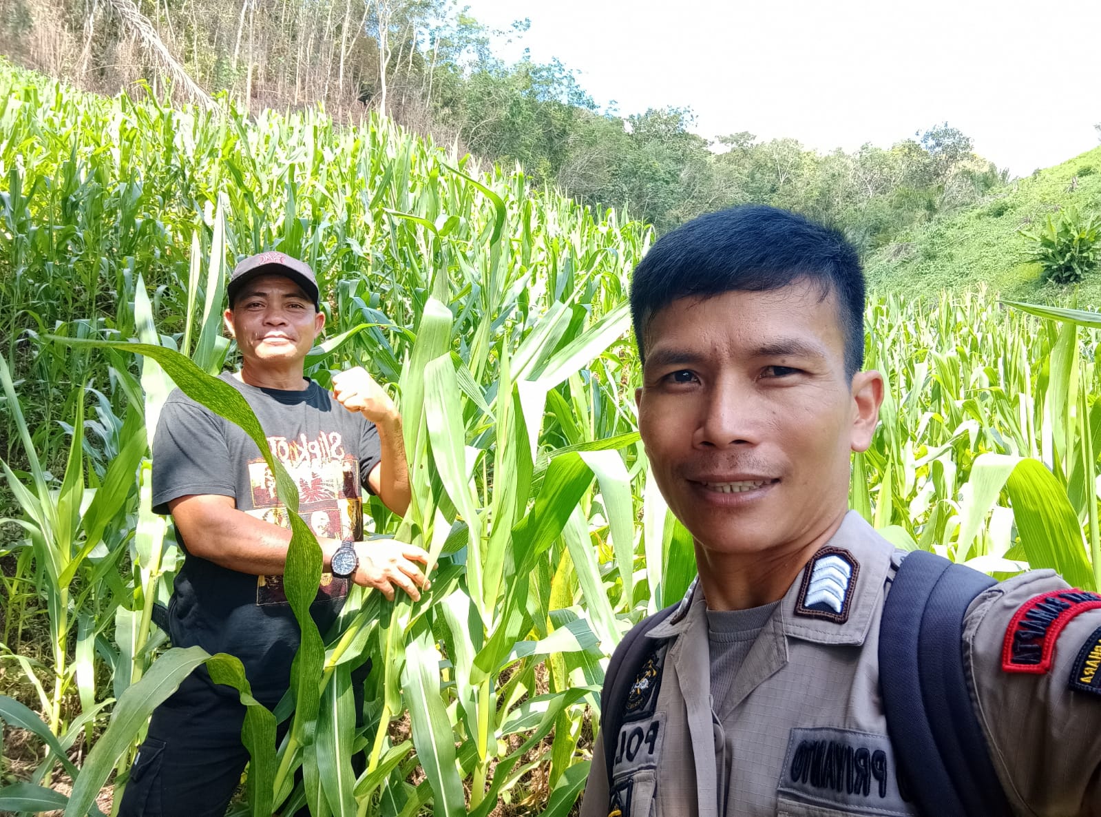 Bintara pengerak Ketahanan Pangan Desa Songga Lakukan Pengecekan Tanaman Jagung