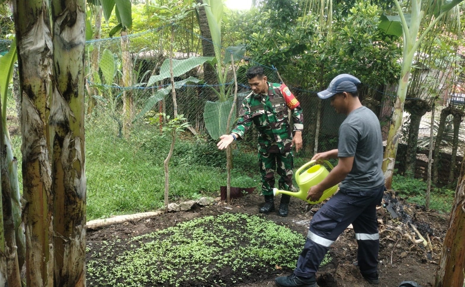 Dukung Ketahanan Pangan, Babinsa Koramil 02/Sukakarya Pantau Langsung Lahan Pertanian Warga Binaan