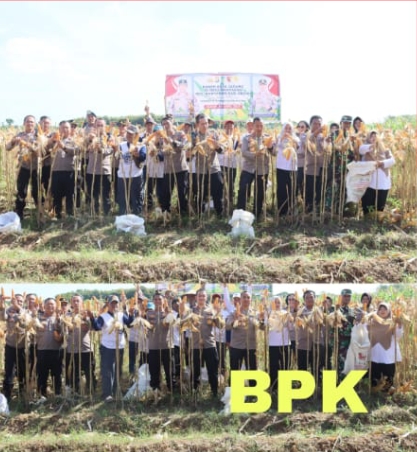 Polres Kediri Kota bersama Warga Tani Panen Raya Jagung, Wujud Nyata Dukung Swasembada Pangan