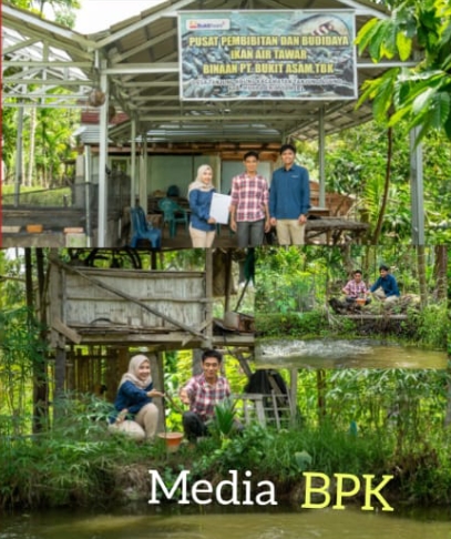 Bukit Asam (PTBA) Mendorong Transformasi Desa Lewat Usaha Budidaya Perikanan*