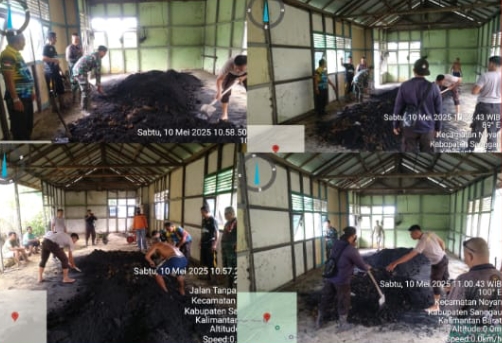 Sanggau Noyan Meningkatkan Kwalitas Tanaman Jagung 