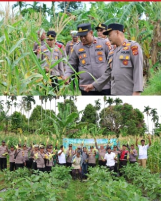 Kapolres Sabang Hadiri Panen Raya Jagung Dukung Program Ketahanan Pangan Nasional.