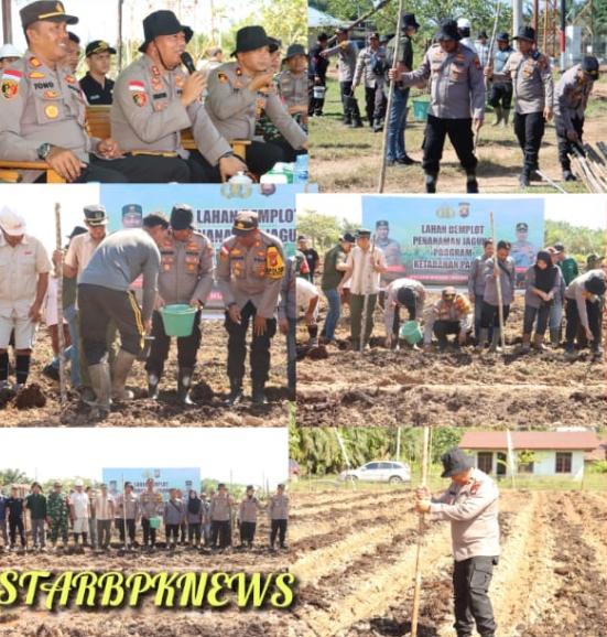 Polsek Sekayam Gerakkan Demplot Jagung, Wujud Nyata Program Ketahanan Pangan 100 Hari Asta Cita