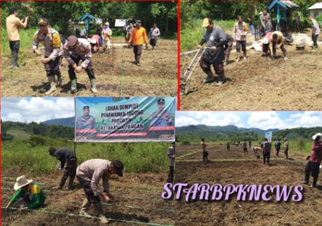 Kegiatan penanaman jagung serentak dalam rangka mendukung ketahanan pangan program 2 pemanpaatan lahan produktif di Polsek Noyan