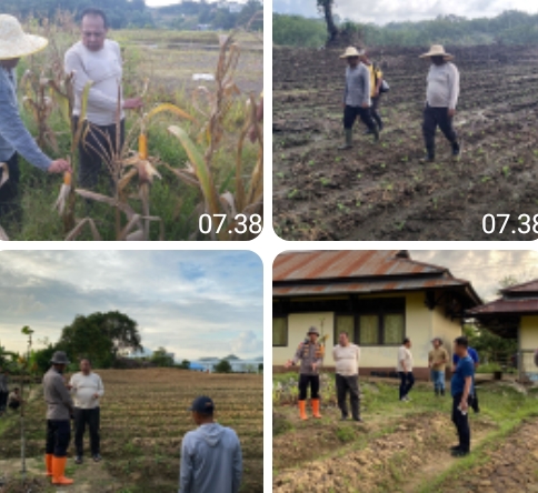 Pastikan Progres Penanaman, Pamatwil Polda Kalbar Tinjau Lahan Jagung di Perbatasan Sanggau