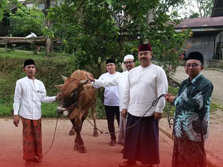 Bupati Edi Damansyah Serahkan Dua Sapi Limosin untuk Pondok Pesantren di Tenggarong Seberang