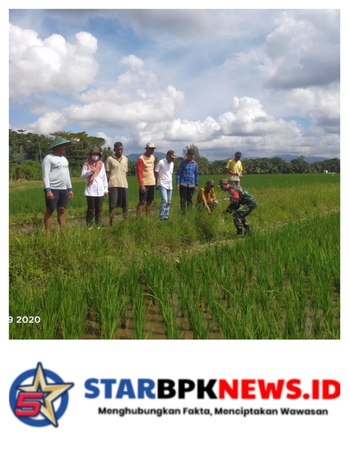 Babinsa dan BPP Bangorejo Laksanakan Gerakan Pengendalian Hama Tikus Demi Pertanian Lebih Produktif
