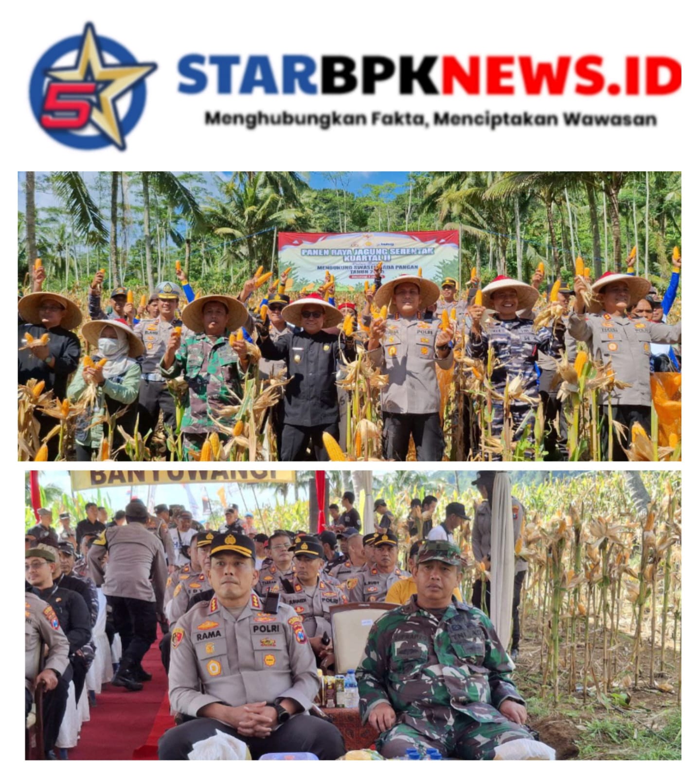 Kasdim 0825/Banyuwangi Laksanakan Panen Raya Jagung Serentak Quartal 2 Tahap 2 Tahun 2025