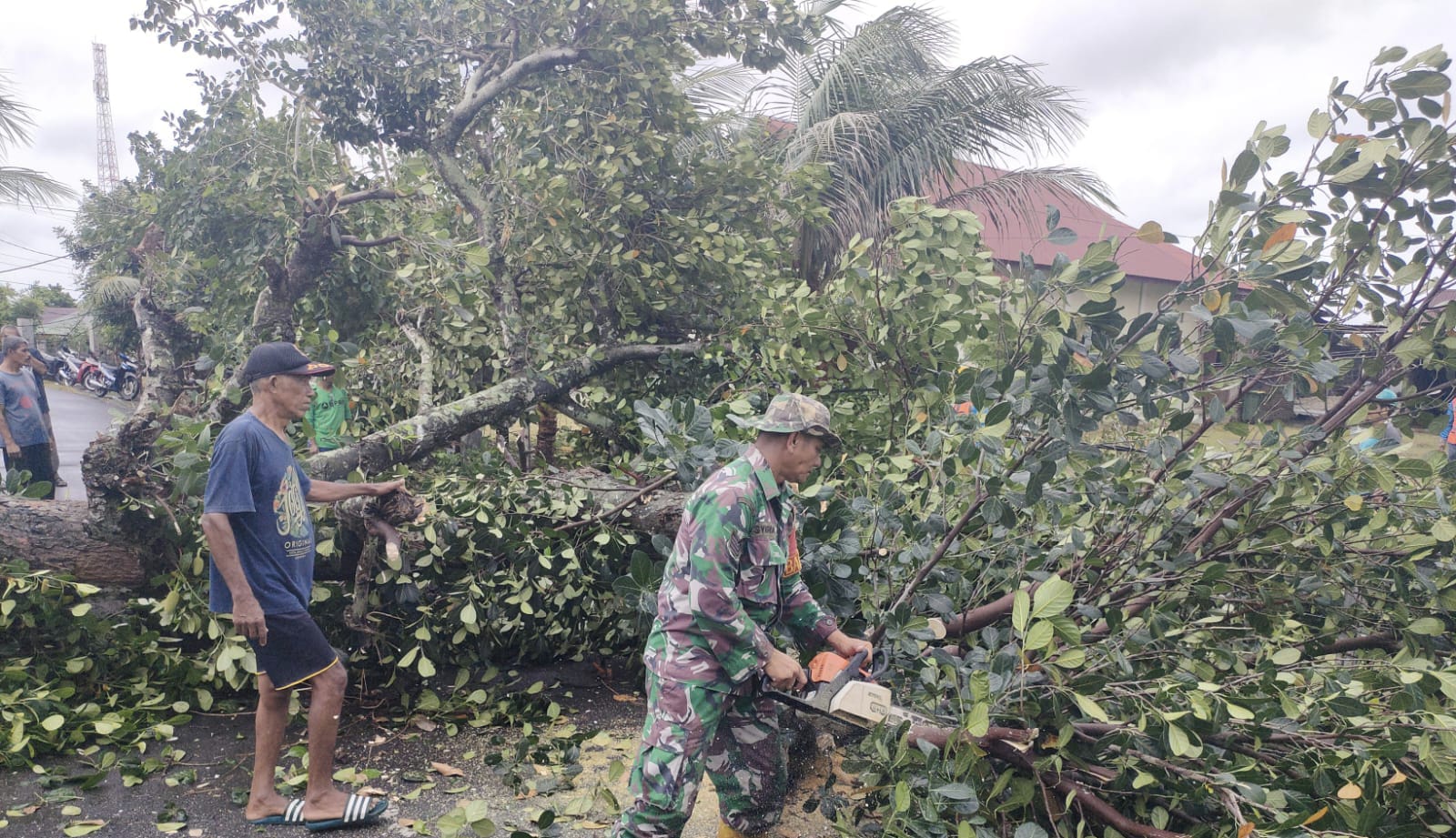 Babinsa Gampong Kuta Ateuh Bersama BPBD, dan Warga Lakukan Pembersihan Pohon Tumbang