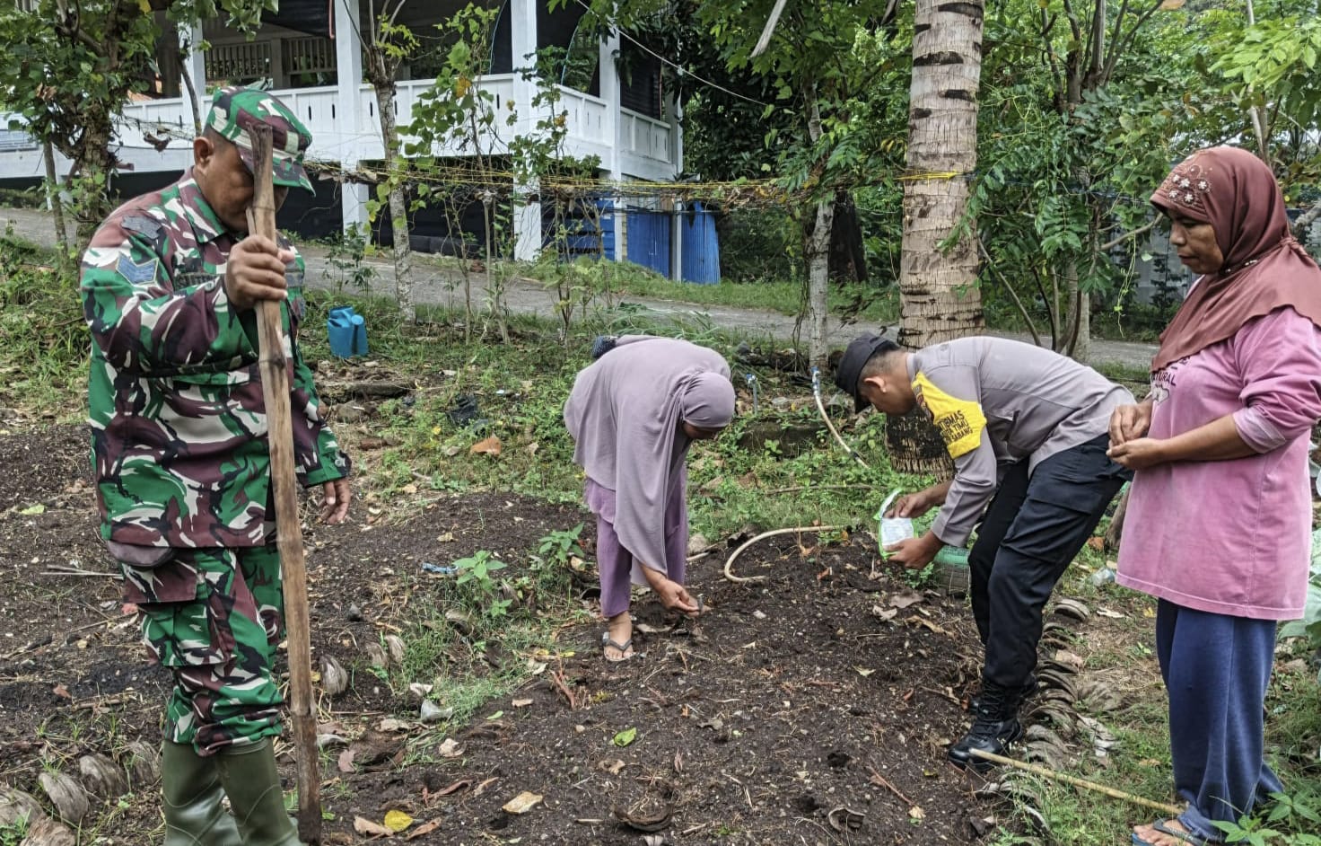 Babinsa Gampong Koramil 02/Sukakarya Bersama Bhabinkamtibmas dan PPL Dukung Kelompok Tani Tanam Jagung Manis di Jurong Ketapang
