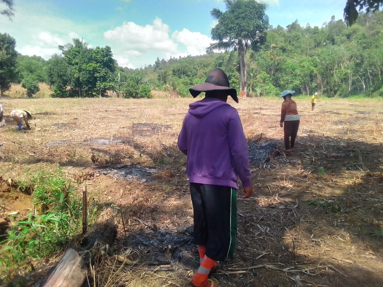 Dukung program Asta cita,  warga Sabaka  bertanam jagung.