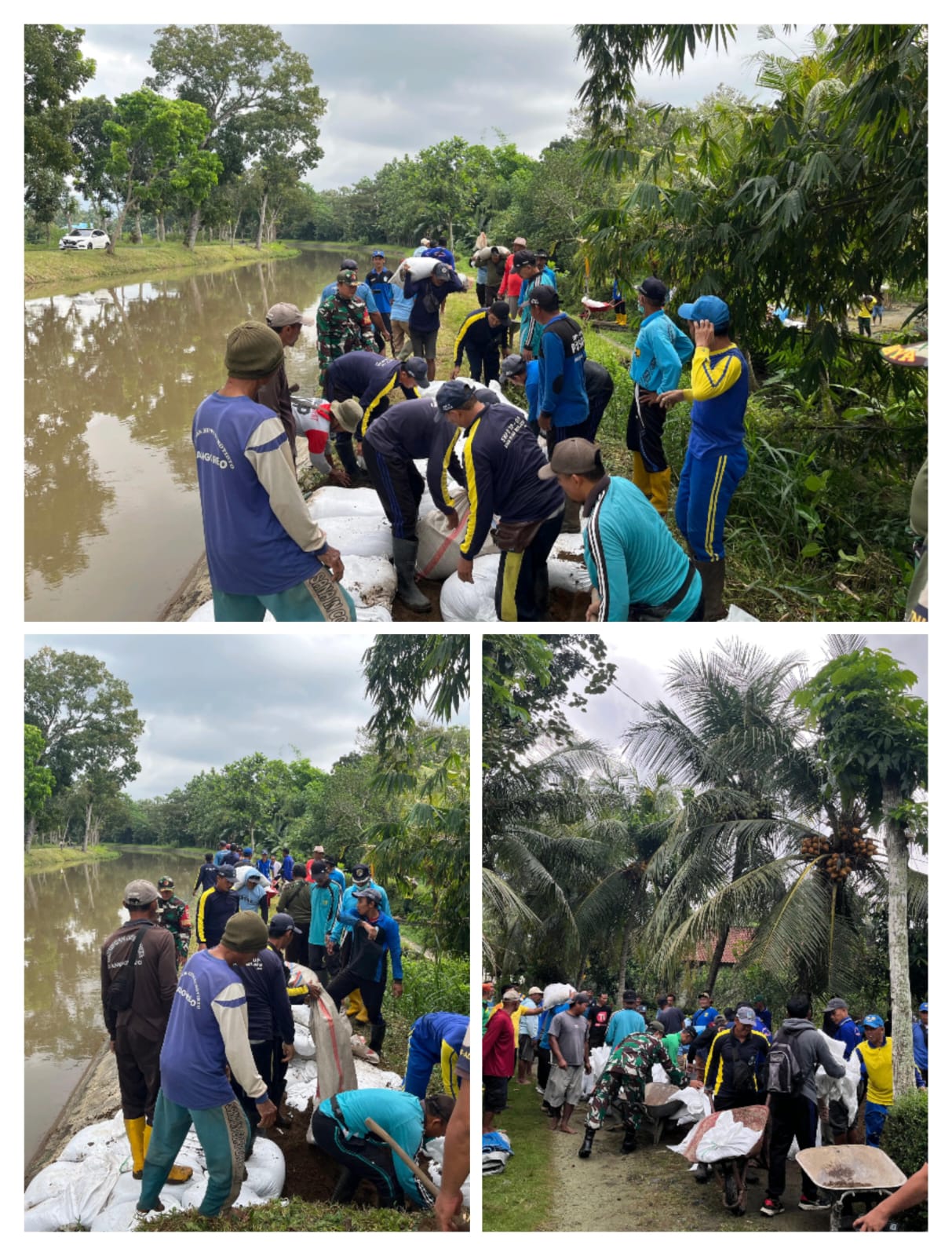 Semangat Gotong Royong, Babinsa Kebondalem dan Dinas Pengairan Perbaiki Tanggul Jebol