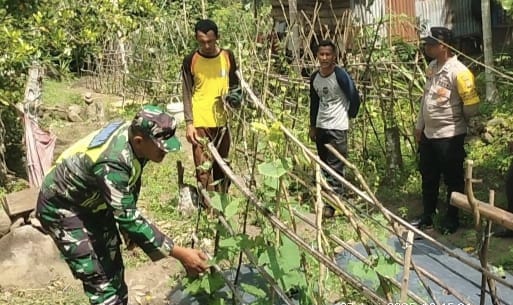Babinsa Koramil 02/Sukakarya dan Bhabinkamtibmas Kunjungi Kebun Warga di Gampong Krueng Raya