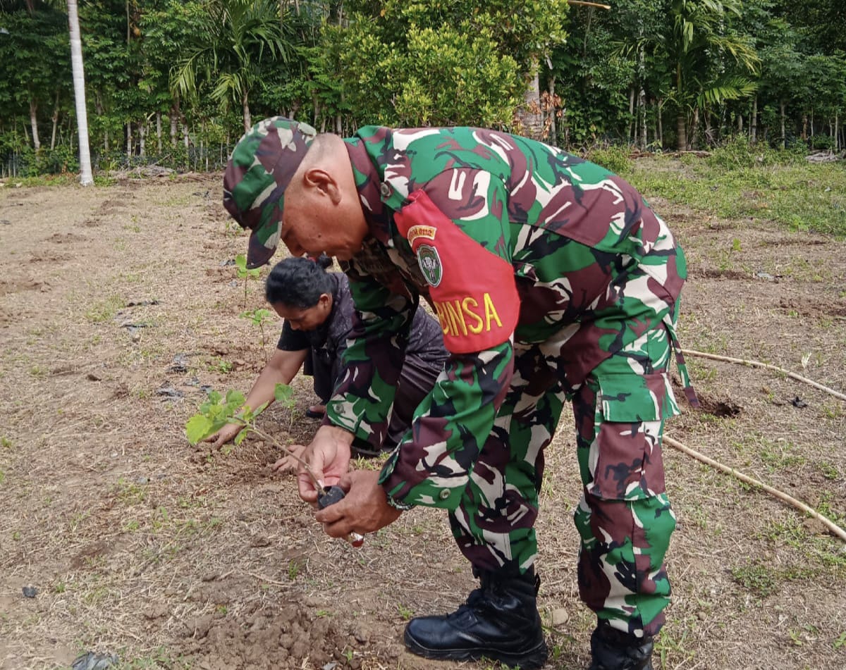 Babinsa Koramil 02/Sukakarya Dukung Warga Kembangkan Budidaya Tanaman Nilam