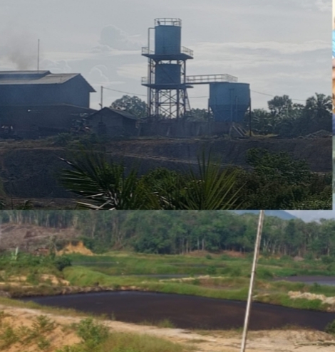 Pabrik PT DMS Timbulkan Bau Tak Sedap Dan Lalat, Ancam Kesehatan Warga