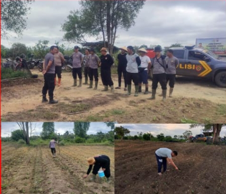Polsek Tayan Hilir Lakukan Pengecekan Intensif Lahan Demplot Pasca Enam Hari Penanaman Jagung