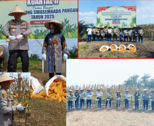 Kapolres Mesuji Bersama Bupati Mesuji Melaksanakan Panen Raya Jagung Serentak Kuartal dua